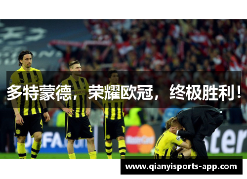 多特蒙德，荣耀欧冠，终极胜利！