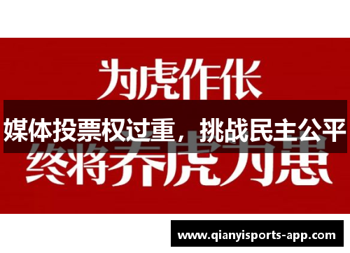 媒体投票权过重，挑战民主公平