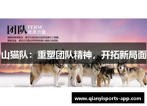 山猫队：重塑团队精神，开拓新局面