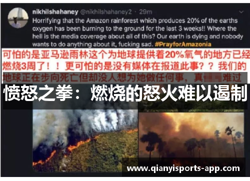 愤怒之拳：燃烧的怒火难以遏制